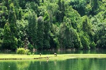 Ba Be Lake, a green jewel in North Vietnam